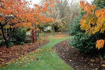 Outdoor Pictures 18