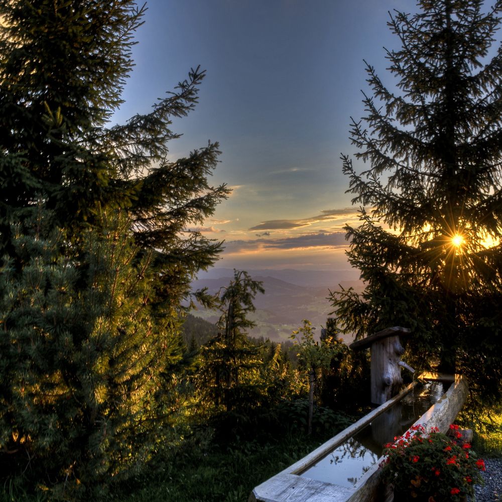 Outdoor Pictures 21