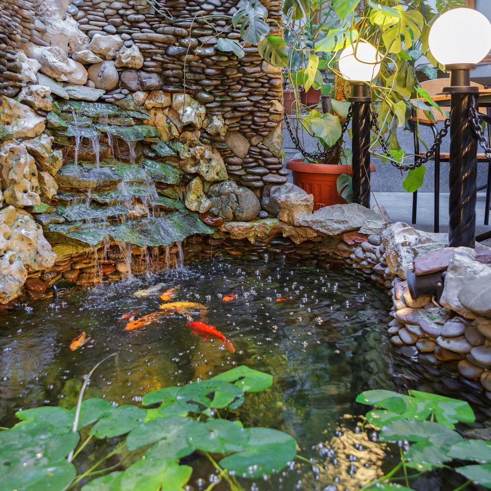 Outdoor Pictures 23