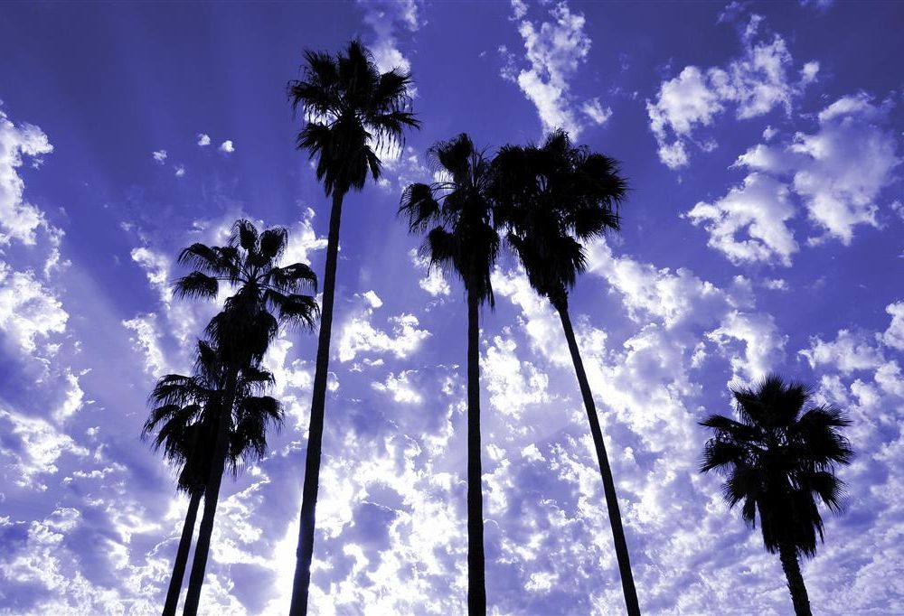 Outdoor Pictures 20