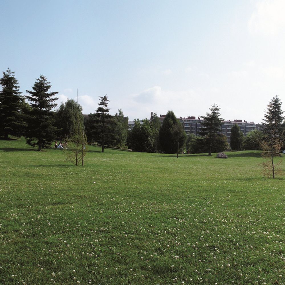 Outdoor Pictures 21