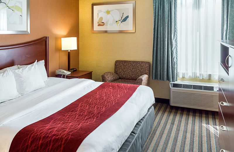 Comfort Inn Petersburg - Fort Lee