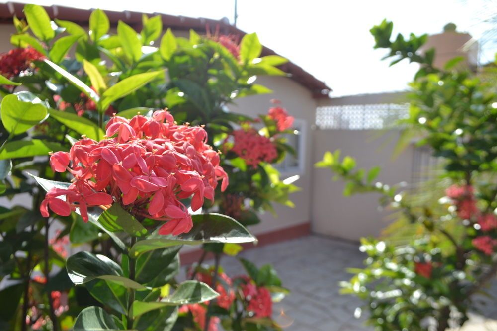Outdoor Pictures 13