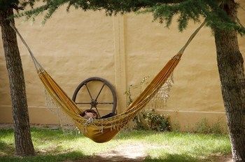 Outdoor Pictures 19