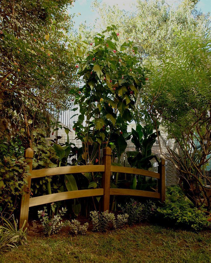 Outdoor Pictures 4