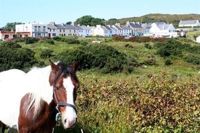 Castlehouse B&B
