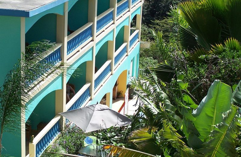 Lazy Parrot Inn & Mini Resort