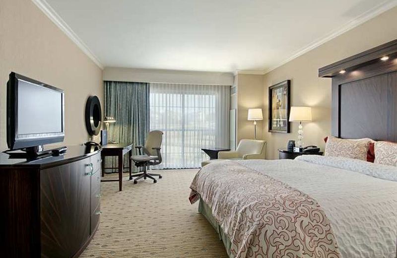 Hilton Dallas/Rockwall Lakefront Hotel