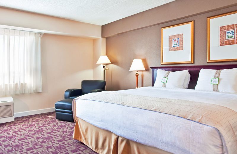Holiday Inn Rolling Meadows - Schaumburg Area