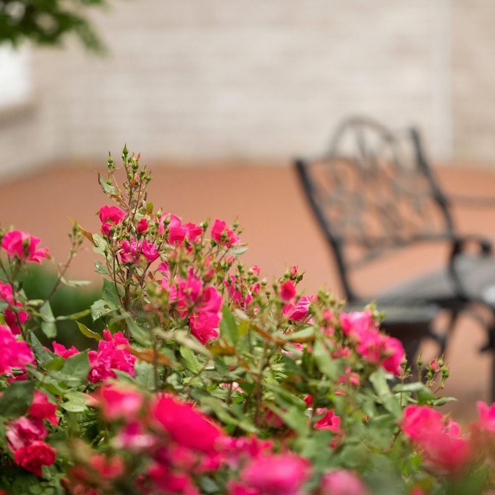 Outdoor Pictures 20