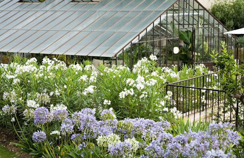 Domaine du Mas De Pierre
