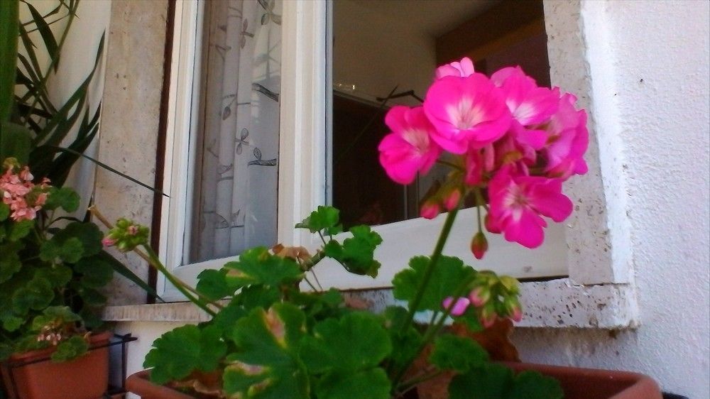 Outdoor Pictures 22
