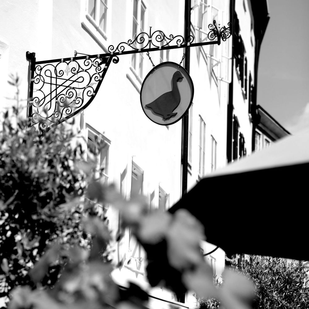 Outdoor Pictures 22