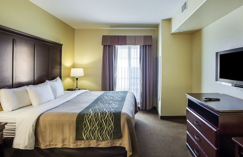 Comfort Inn near Seaworld - Lackland AFB