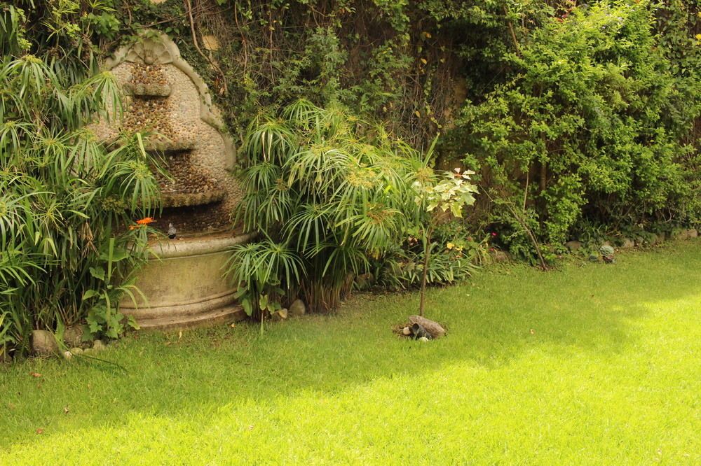 Outdoor Pictures 21