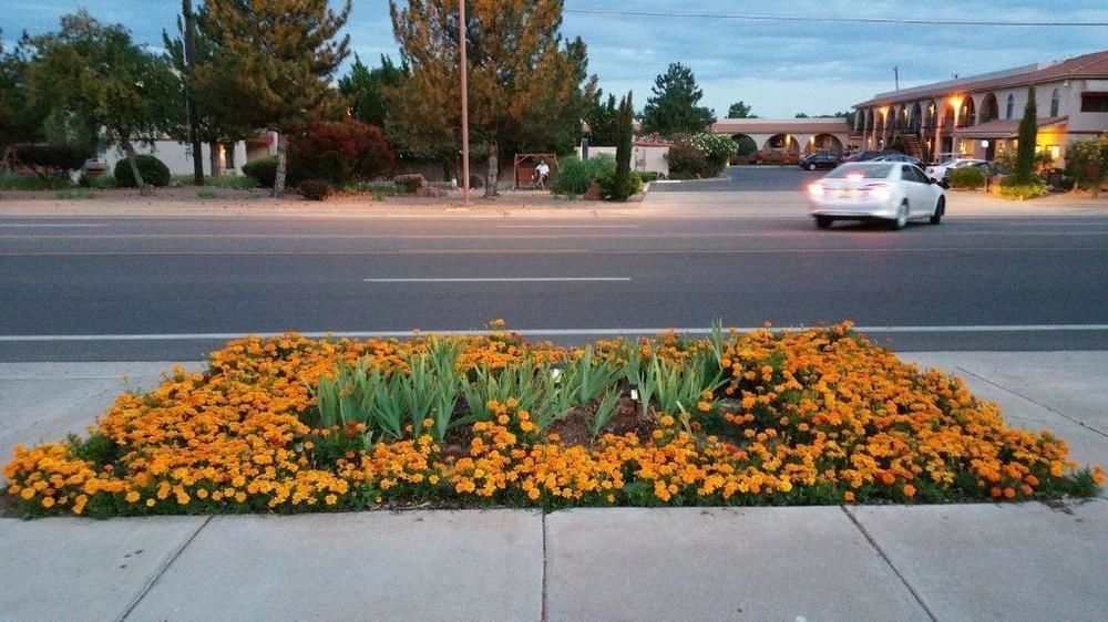 Outdoor Pictures 13