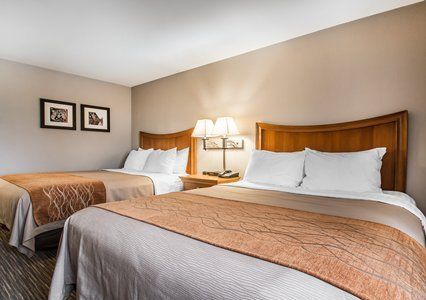 Comfort Inn South - Springfield