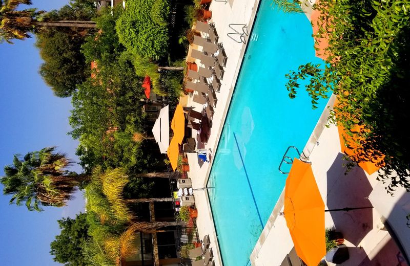 Palm Garden Hotel