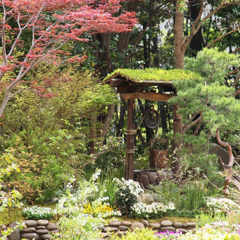 Outdoor Pictures 21