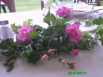 Outdoor Pictures 11