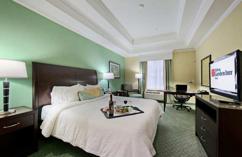 Hilton Garden Inn Tyler