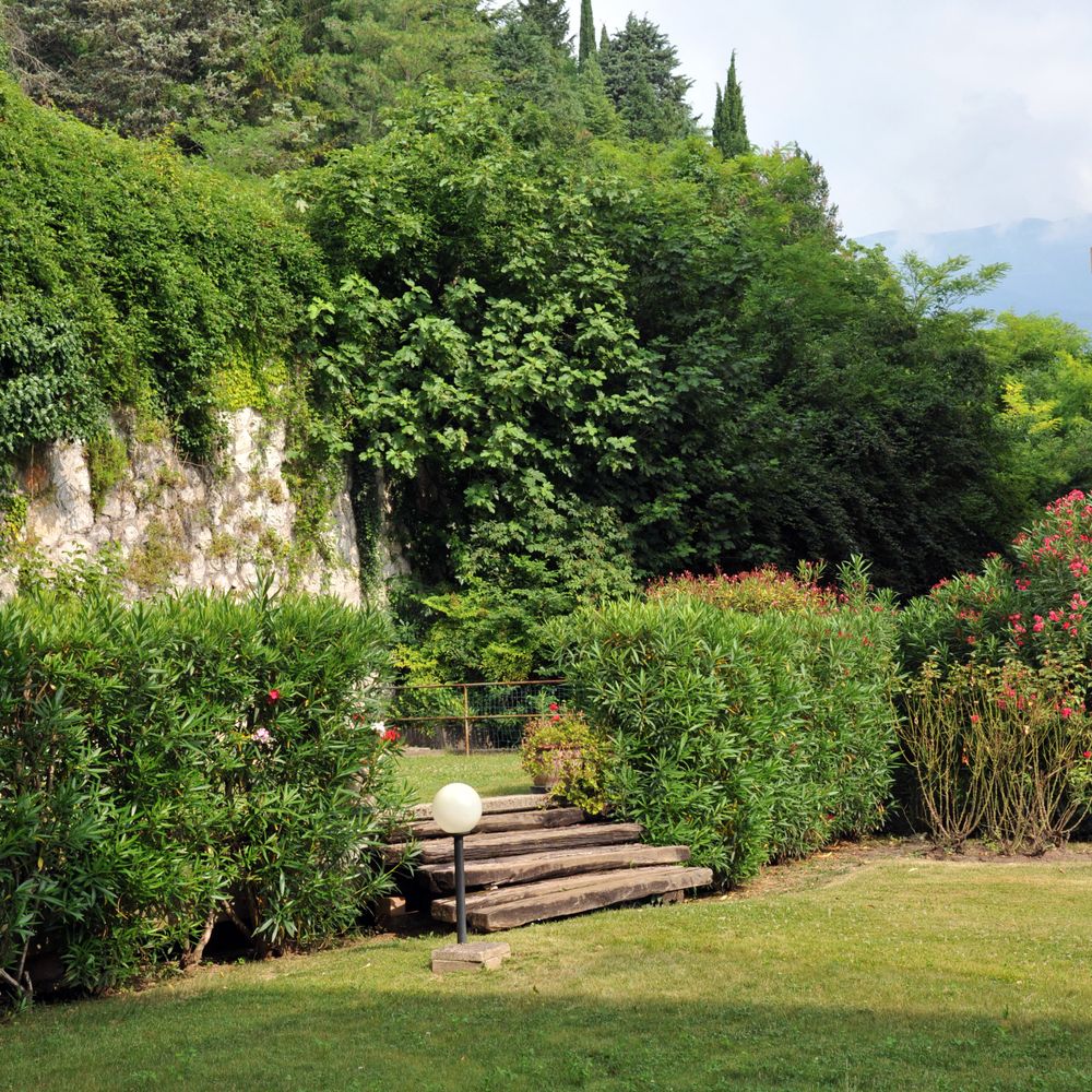 Outdoor Pictures 24