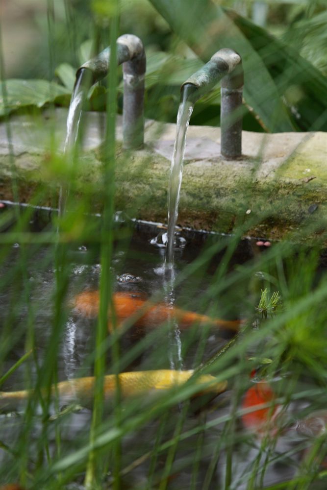 Outdoor Pictures 22