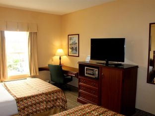 Hotel Image 5