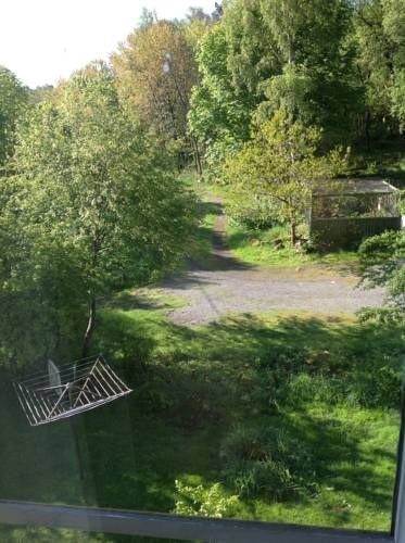 Outdoor Pictures 19