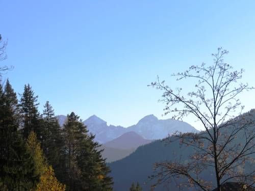 Outdoor Pictures 14