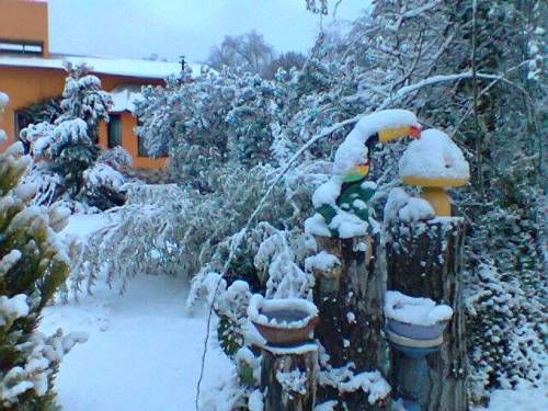 Outdoor Pictures 23
