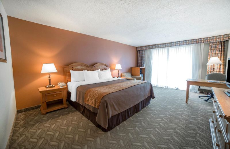 Comfort Inn Downtown Salt Lake City