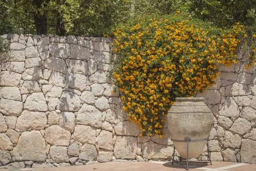 Outdoor Pictures 24