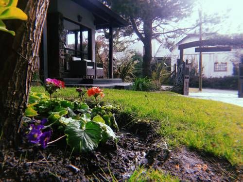 Outdoor Pictures 23