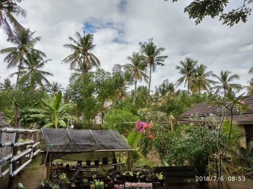 Outdoor Pictures 19