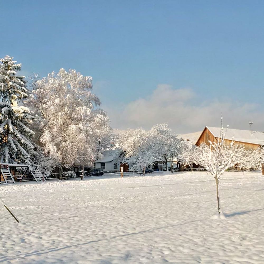 Outdoor Pictures 20
