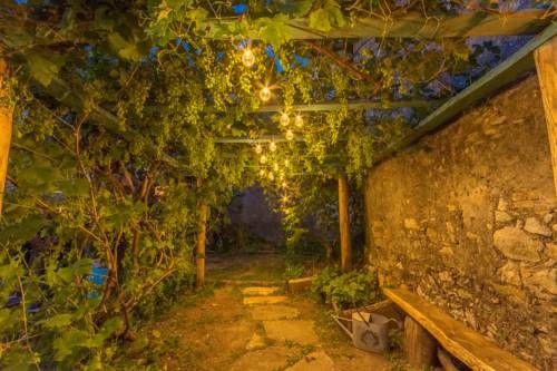 Outdoor Pictures 16
