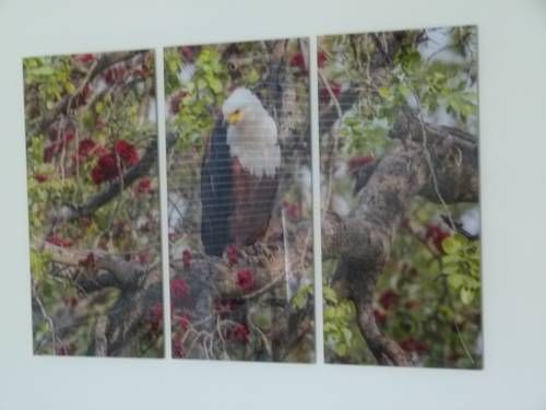Outdoor Pictures 15
