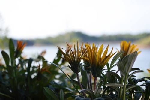 Outdoor Pictures 23