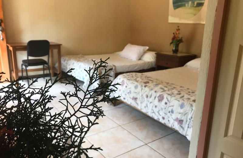 Hotel del Bosque