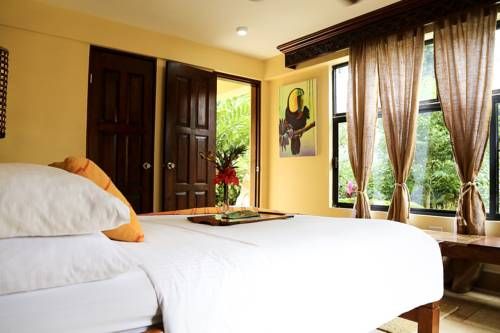 Sleeping Giant Rainforest Lodge