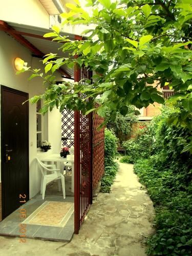 Outdoor Pictures 16