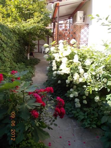 Outdoor Pictures 21