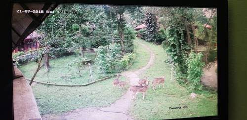 Outdoor Pictures 2
