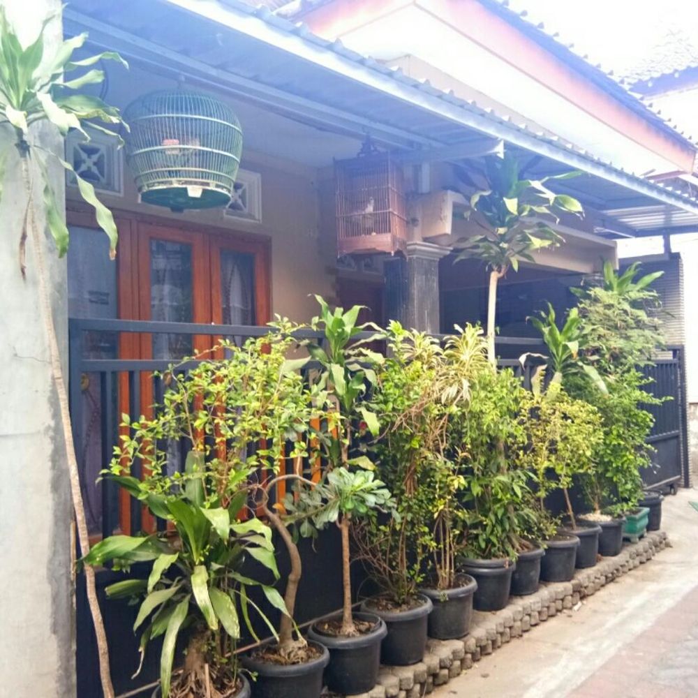 Outdoor Pictures 1