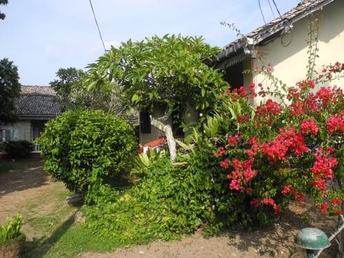 Outdoor Pictures 22
