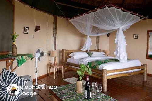 Elephant Hab Lodge