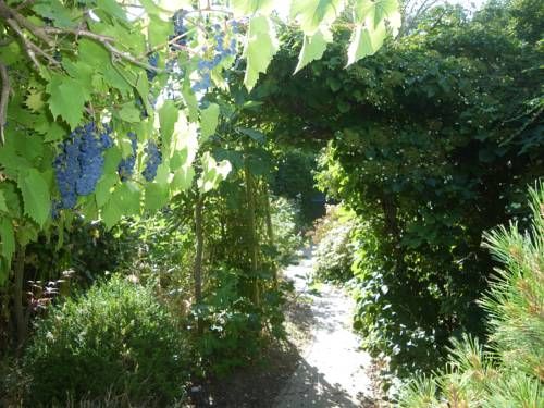 Outdoor Pictures 22