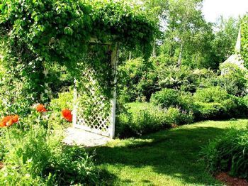 Outdoor Pictures 14