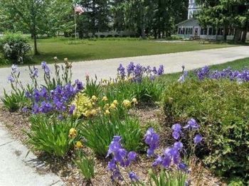 Outdoor Pictures 22